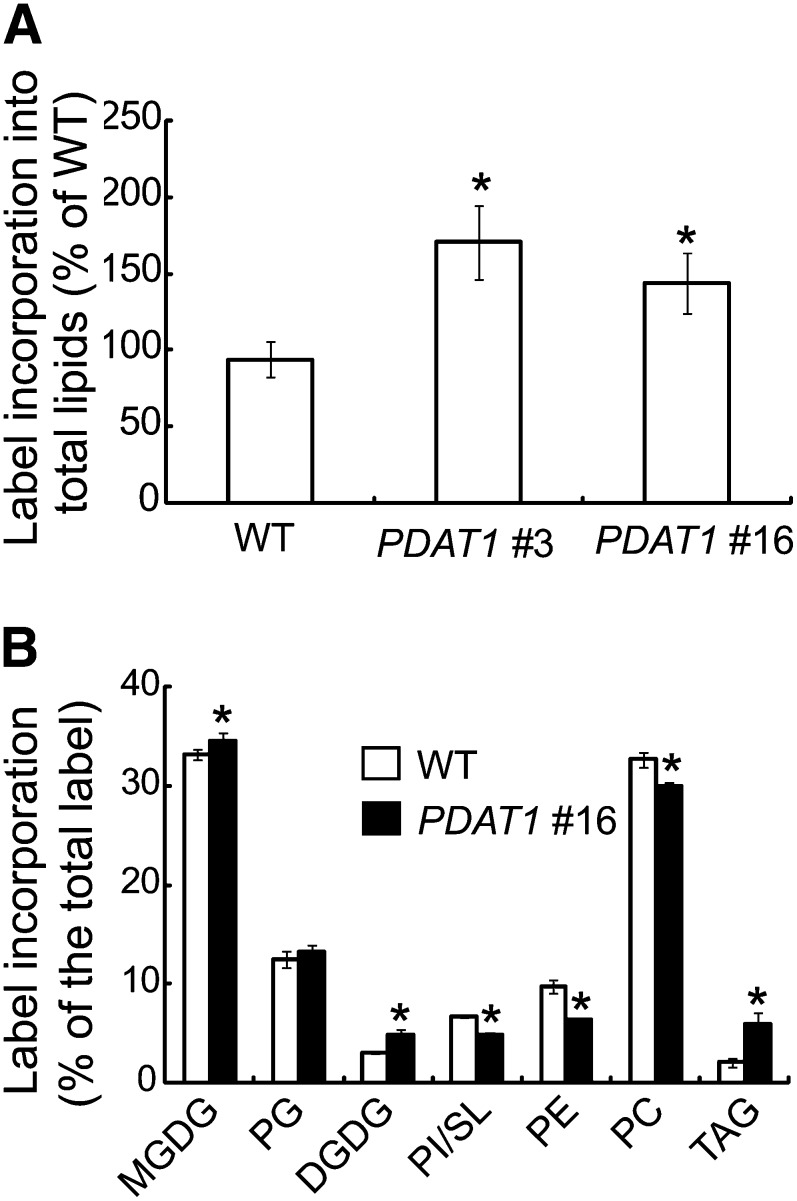 Figure 7.