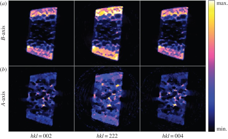 Figure 7.