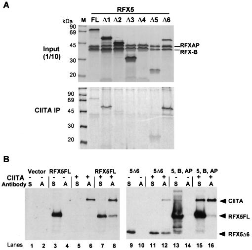 FIG. 7