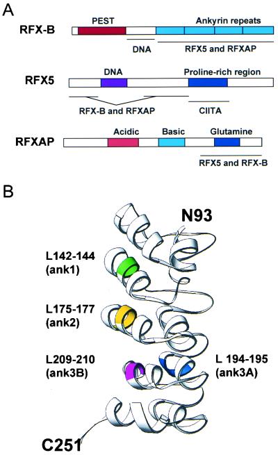 FIG. 8