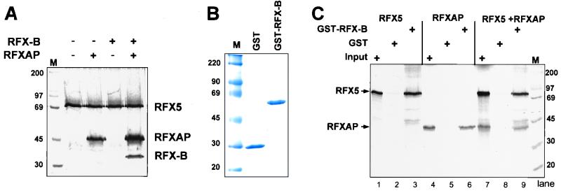 FIG. 1