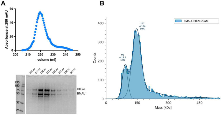 Figure 2: