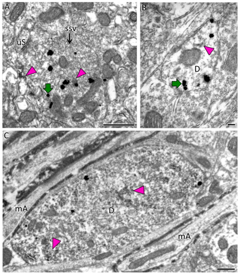 Fig. 14