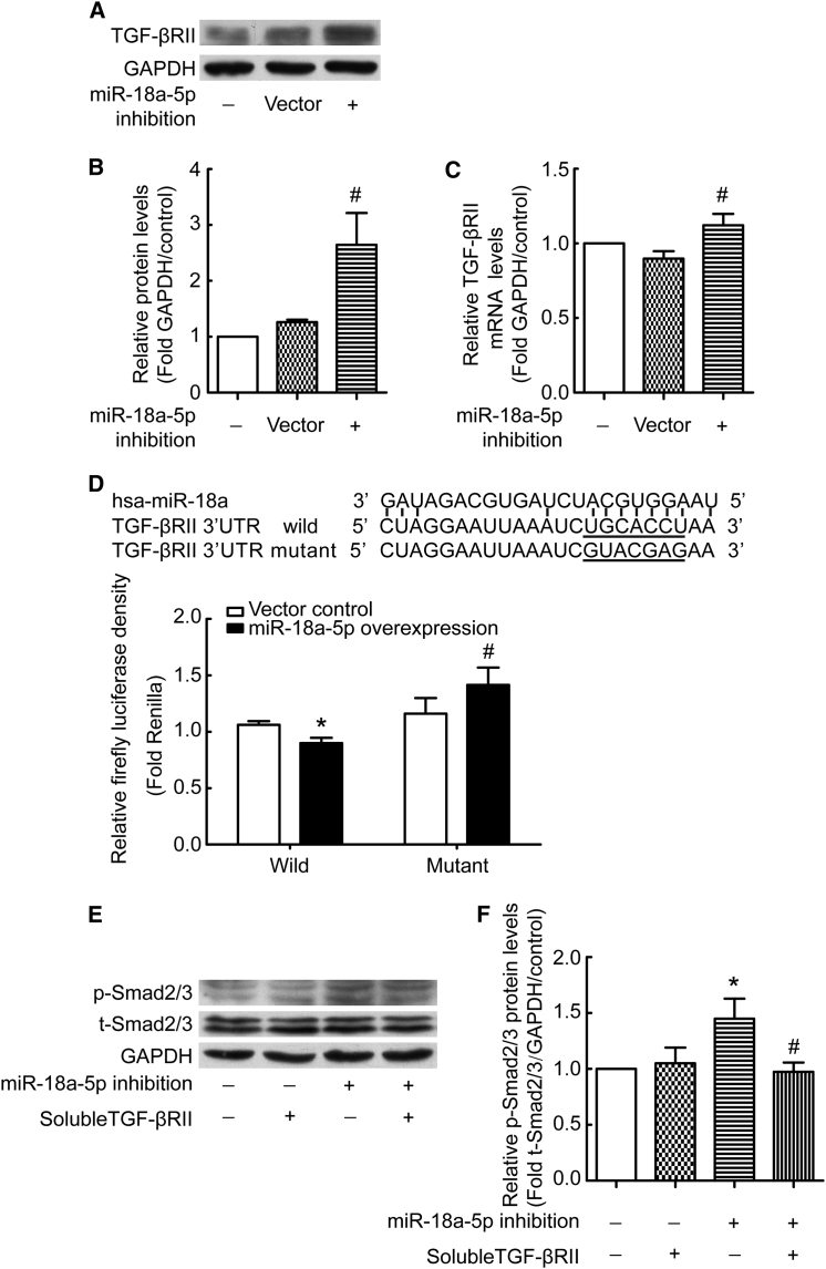 Figure 6