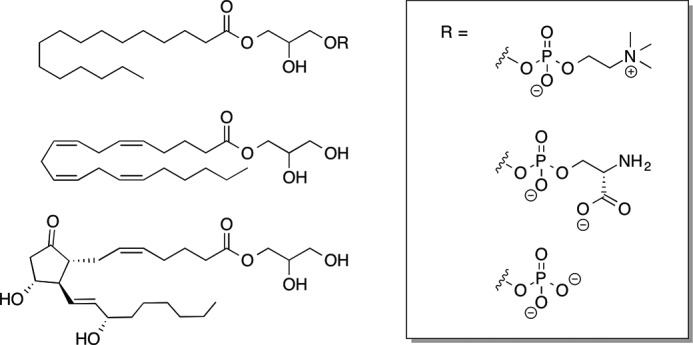 FIGURE 11.