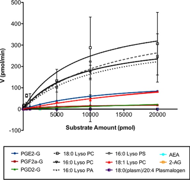 FIGURE 7.