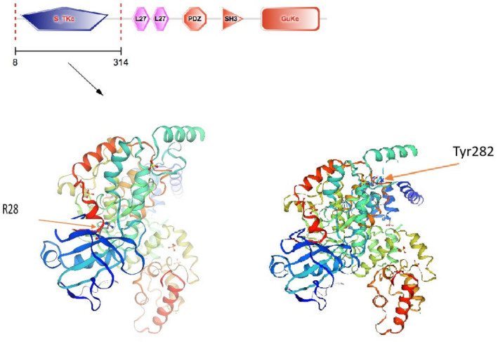 FIGURE 2