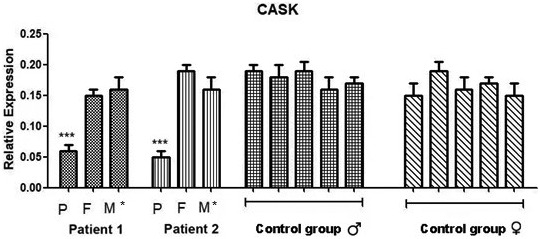 FIGURE 3