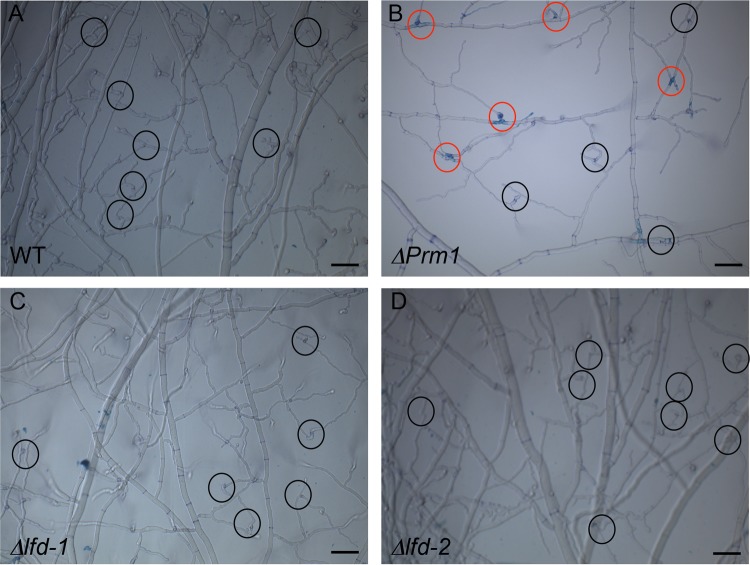 FIG 4