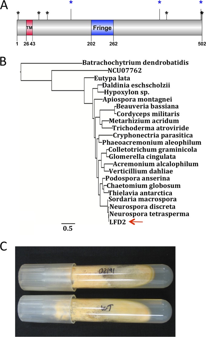 FIG 5