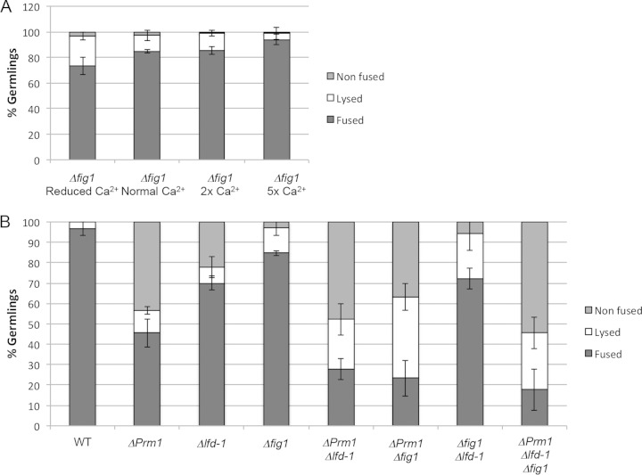 FIG 3