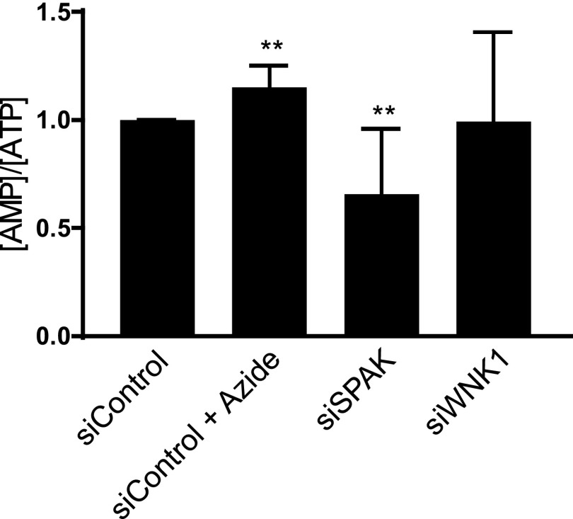 Fig. S3.