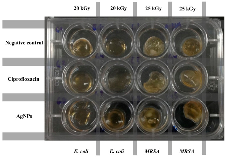 Figure 10