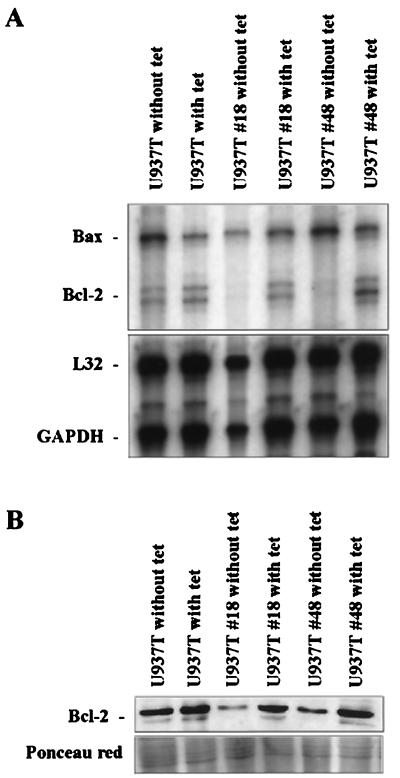 FIG. 5