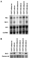 FIG. 5