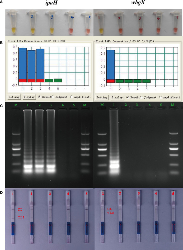 Figure 1