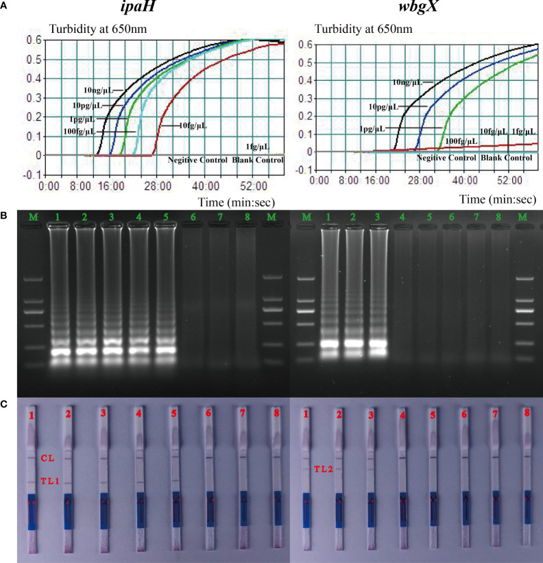 Figure 2