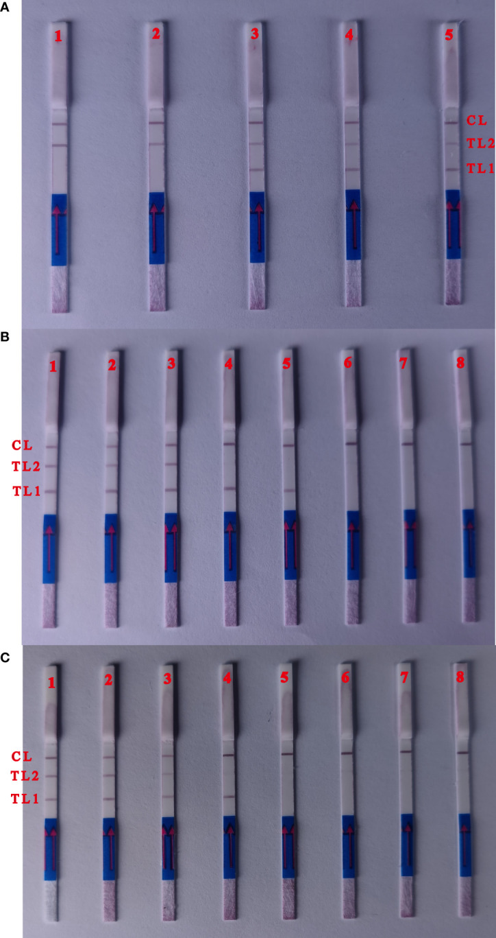 Figure 3