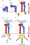 Fig. 2.