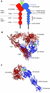 Fig. 1.