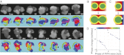 Fig. 3.