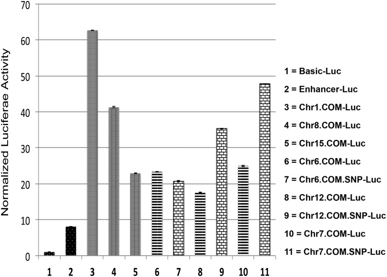 Figure 5.