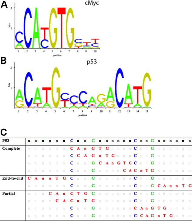 Figure 2.