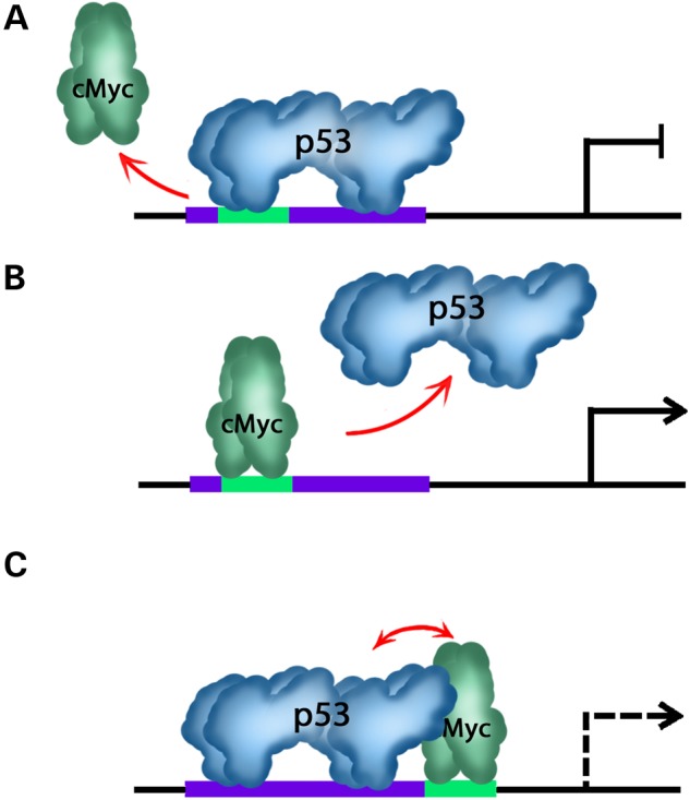 Figure 7.