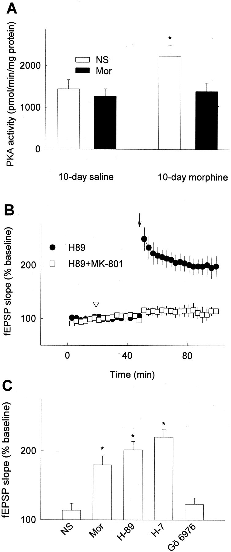 Fig. 8.