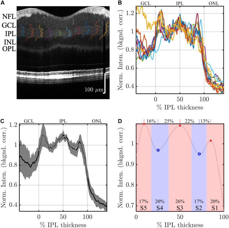 FIGURE 2