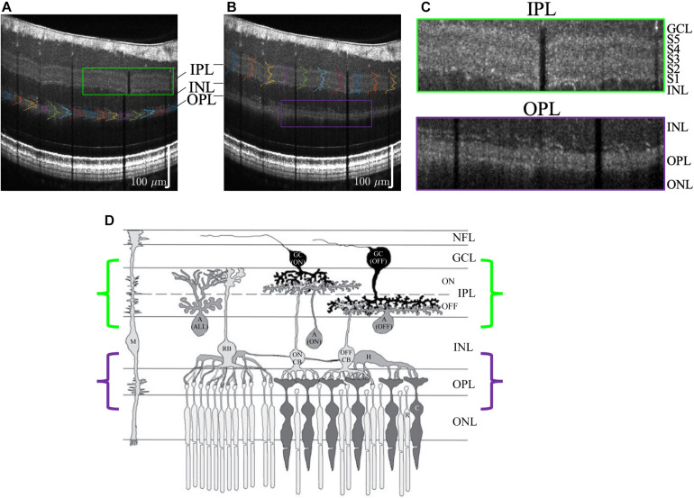 FIGURE 10