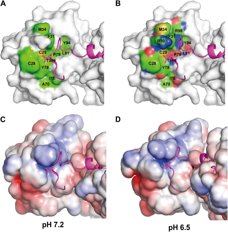 Fig. S5.