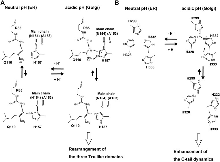 Fig. S7.