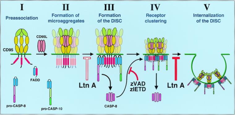 FIG. 9.