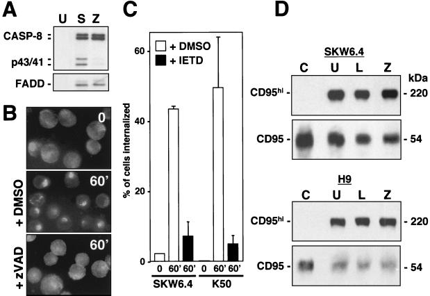 FIG. 8.