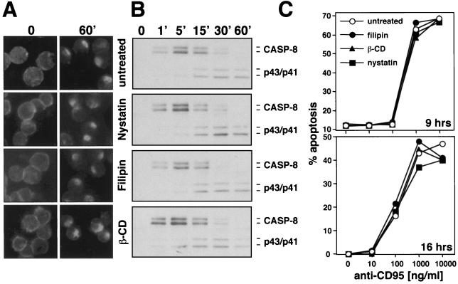 FIG. 7.