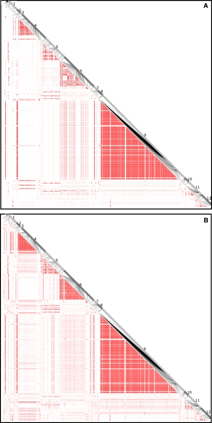 Fig. 9