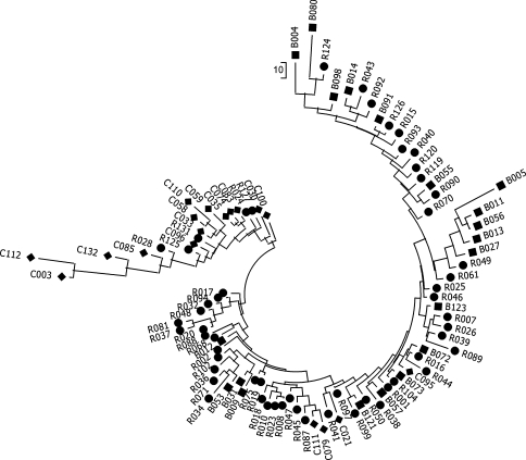 Fig. 7