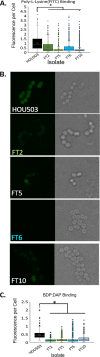 FIG 3