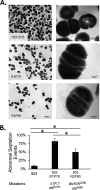 FIG 5