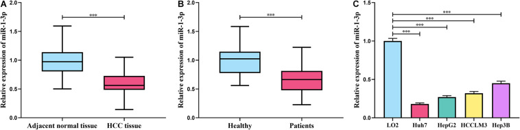 FIGURE 1