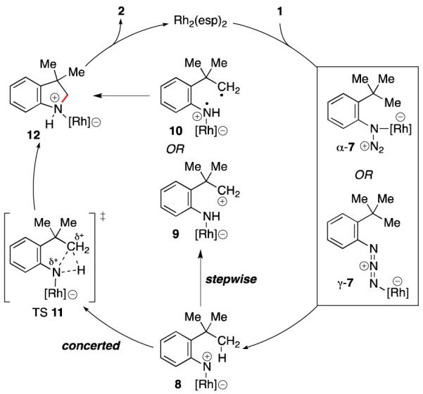 Scheme 2