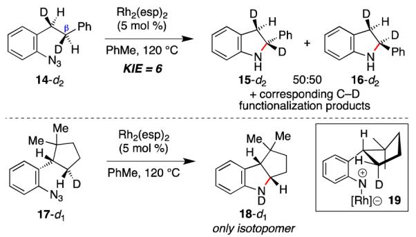 Scheme 3