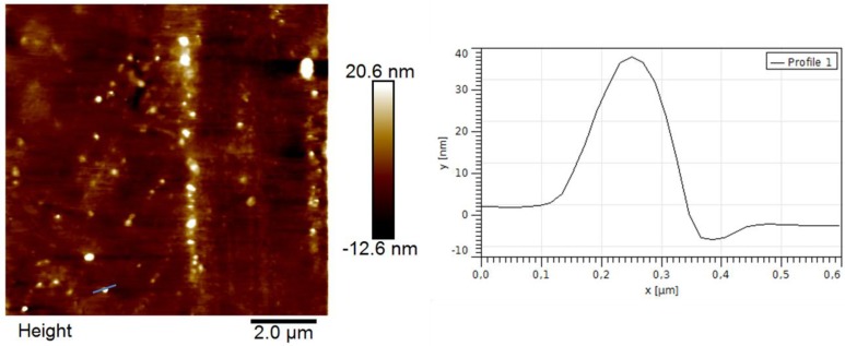 Figure 7