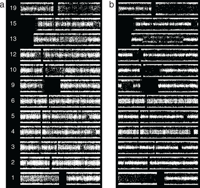 Figure 7.