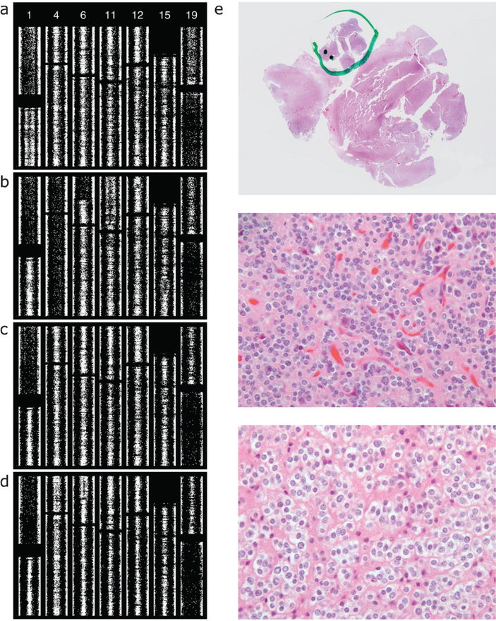 Figure 10.