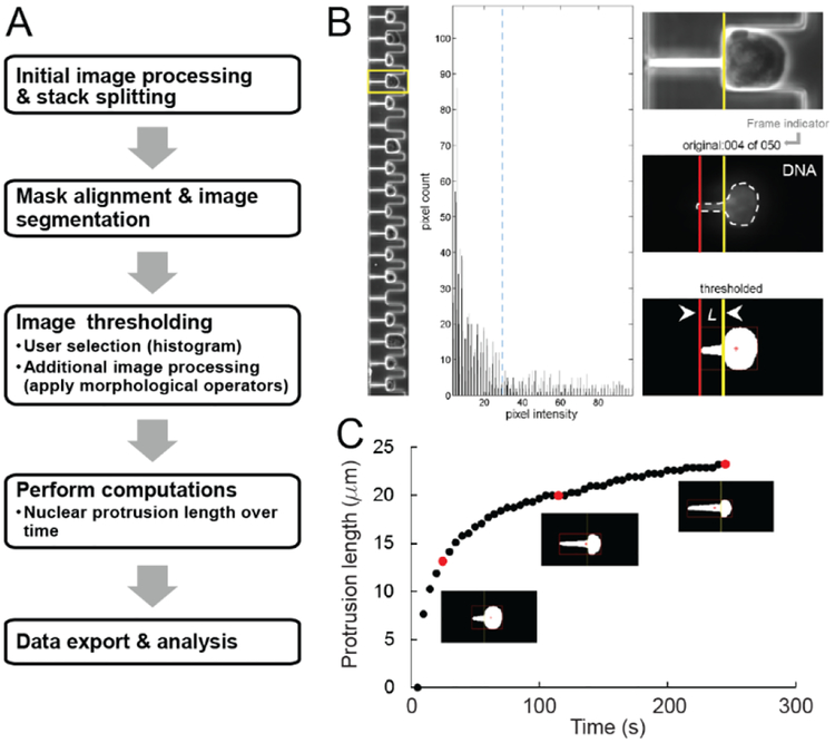 Figure 2: