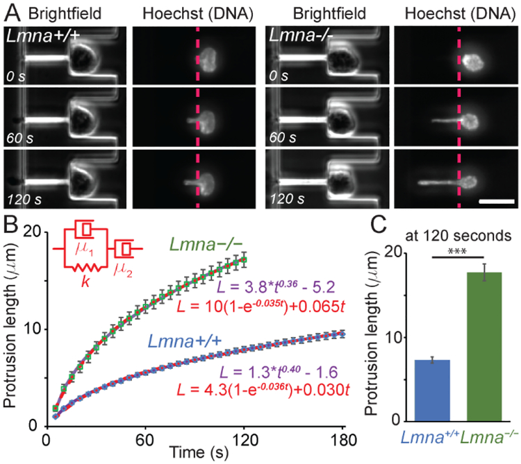 Figure 4: