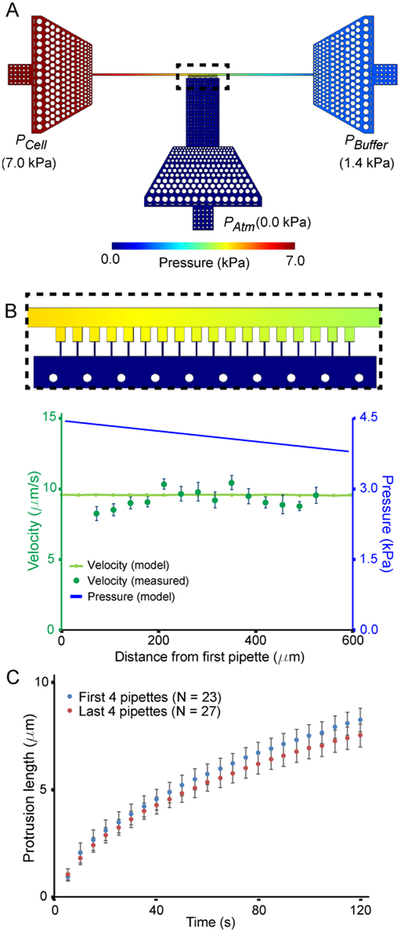 Figure 3: