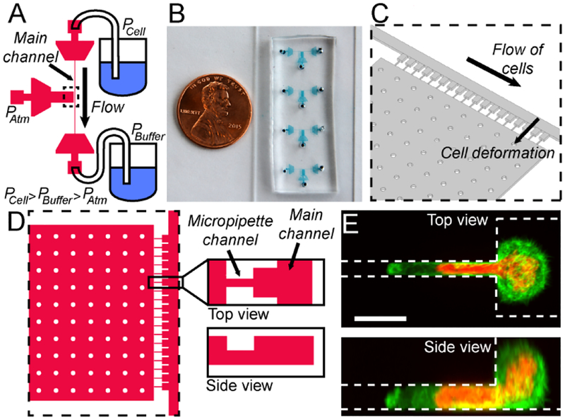 Figure 1: